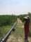 40mm 50mm Sistema di irrigazione per l'approvvigionamento idrico di tubi in polietilene rurale